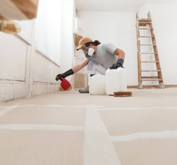 Professional Mold Removal in Lakeside, VA